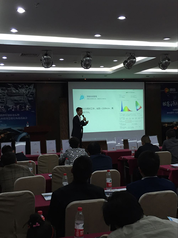 太陽能路燈，太陽能路燈廠家，太陽能路燈價格