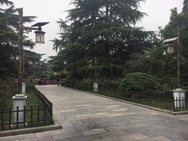 源碼太陽能路燈，太陽能路燈廠家，太陽能路燈價格