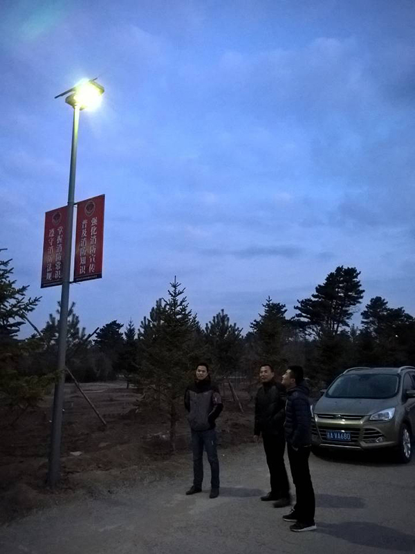 太陽能路燈，太陽能路燈廠家，太陽能路燈價(jià)格