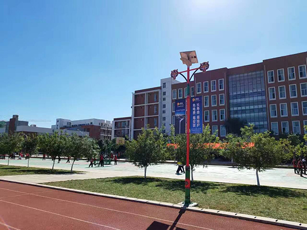 太陽能路燈，太陽能路燈廠家，太陽能路燈價格