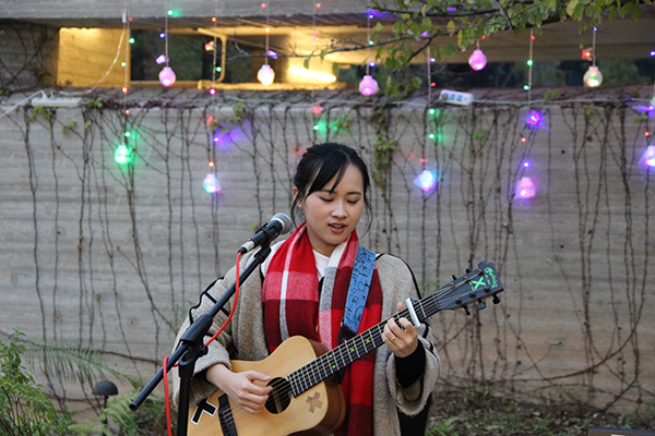 太陽(yáng)能路燈，太陽(yáng)能路燈廠家，太陽(yáng)能路燈價(jià)格