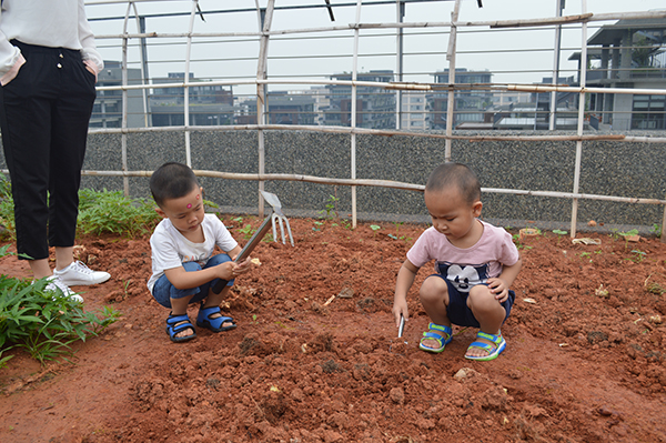太陽能路燈，太陽能路燈廠家，太陽能路燈價格