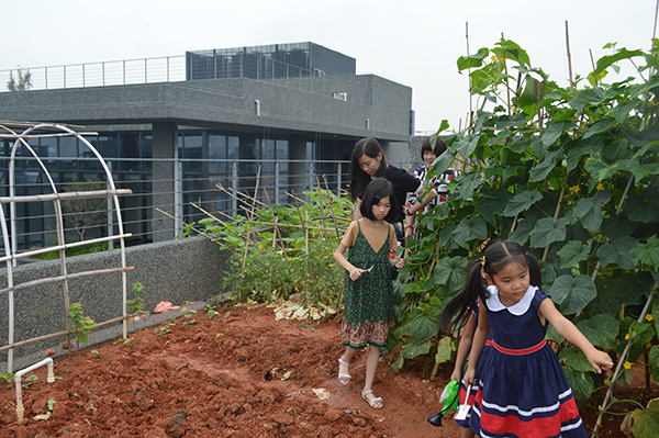 太陽能路燈，太陽能路燈廠家，太陽能路燈價格
