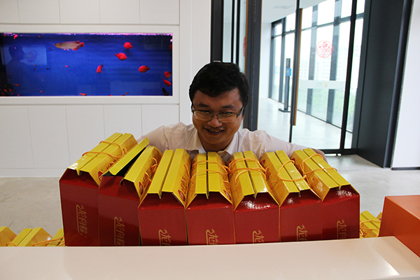 太陽能路燈，太陽能路燈廠家，太陽能路燈價格