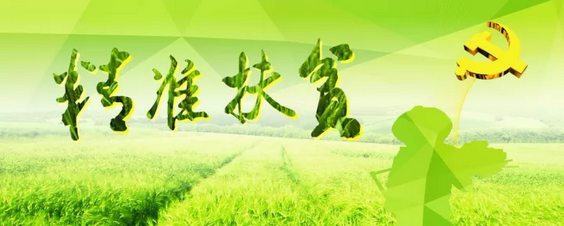 源碼助力來賓精準(zhǔn)扶貧，點(diǎn)亮新寨村幸福之路