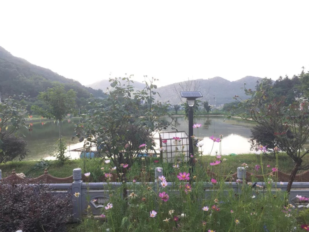 源碼，你所不知道的另一面