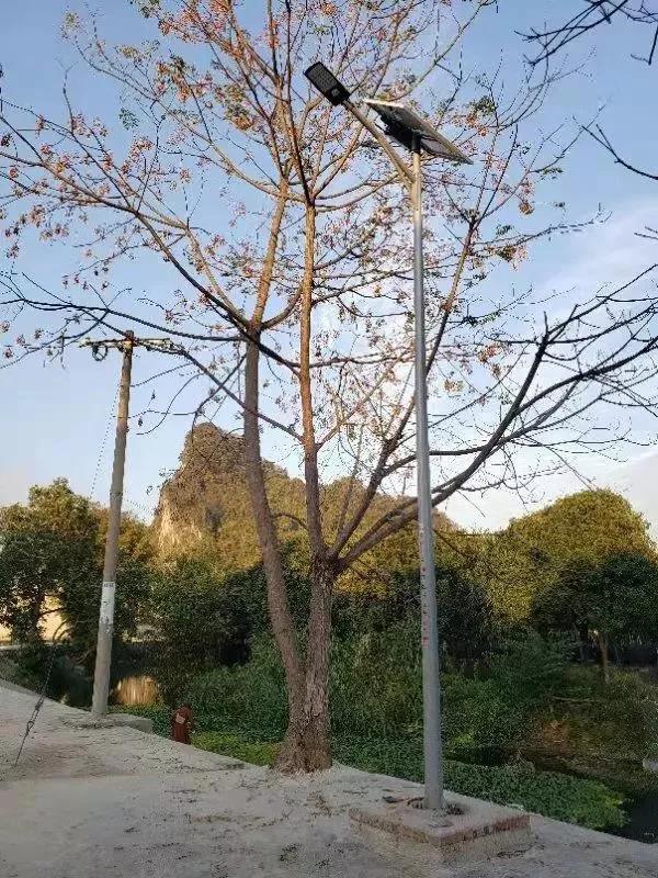 照亮農(nóng)村幸福路！源碼攜手建設(shè)柳州“村屯光亮工程