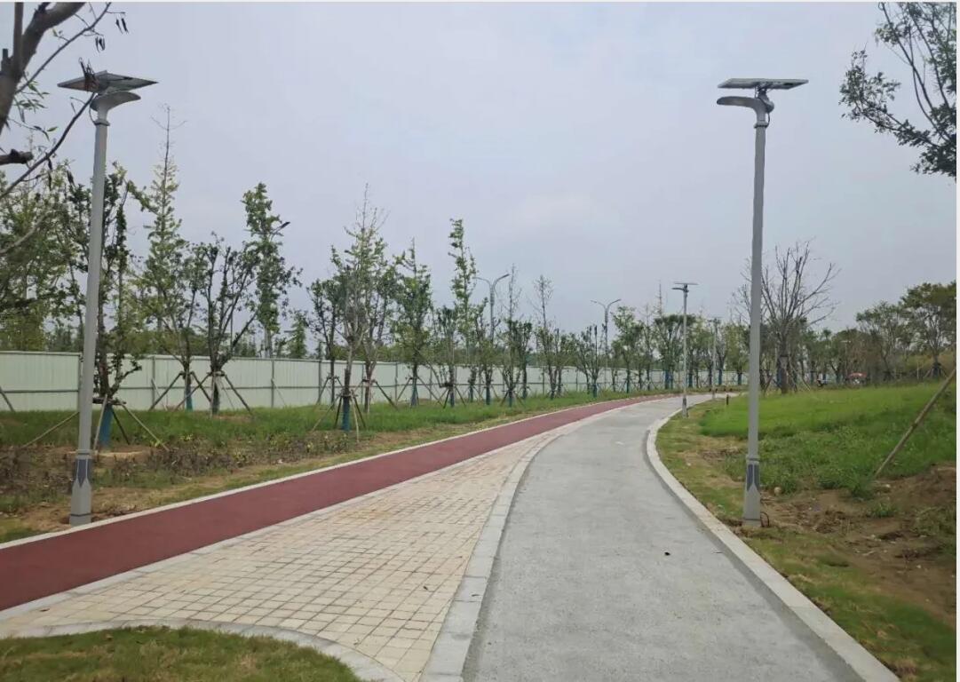 晴空排云雁高飛，源碼項(xiàng)目掀熱潮