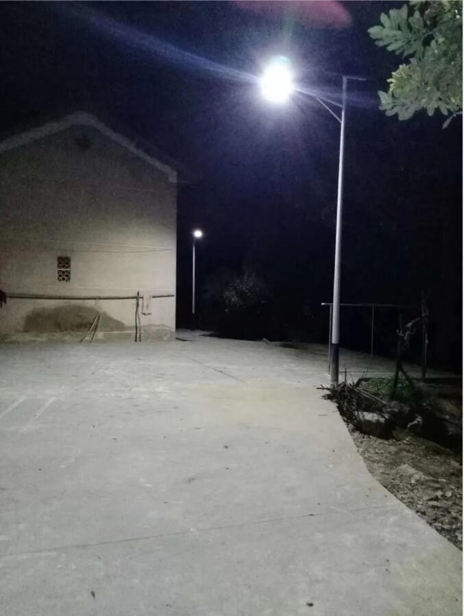 晴空排云雁高飛，源碼項(xiàng)目掀熱潮