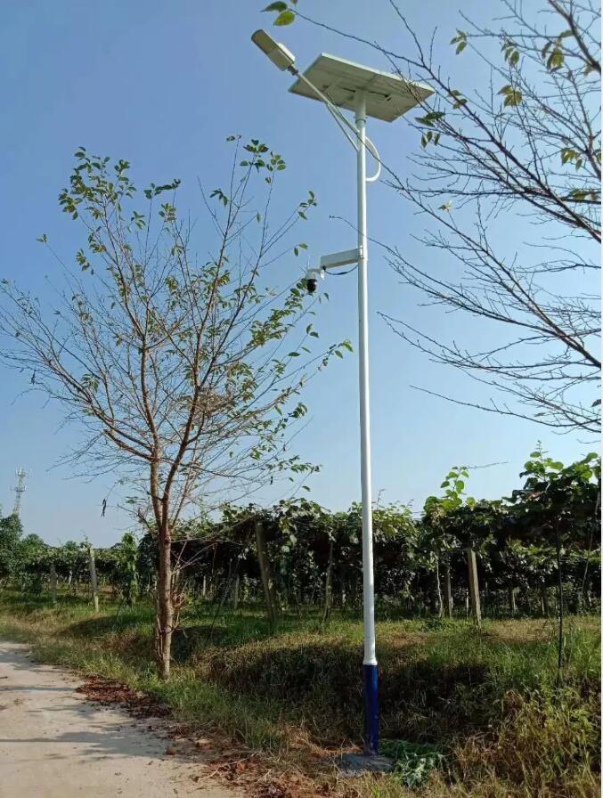 晴空排云雁高飛，源碼項(xiàng)目掀熱潮