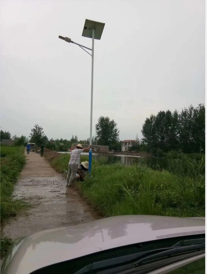 晴空排云雁高飛，源碼項(xiàng)目掀熱潮