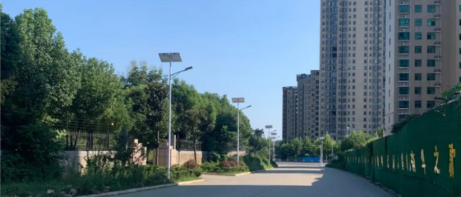 云鵬燈〡九萬里風(fēng)安稅駕，云鵬今悔不卑飛