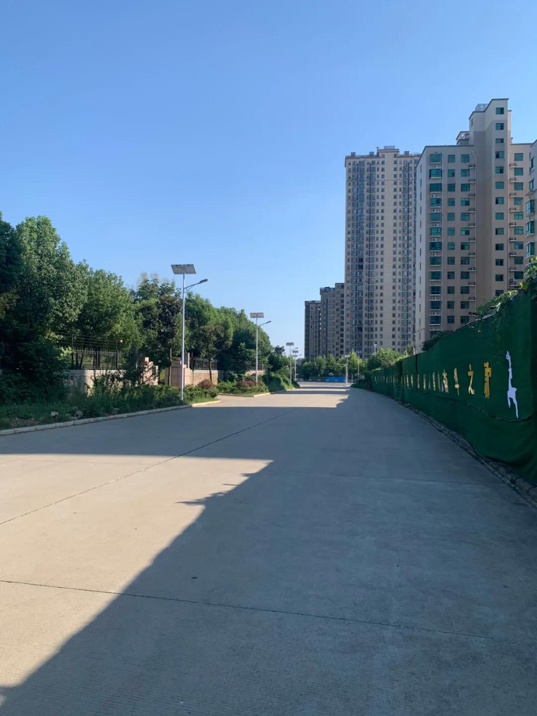 云鵬燈〡九萬(wàn)里風(fēng)安稅駕，云鵬今悔不卑飛