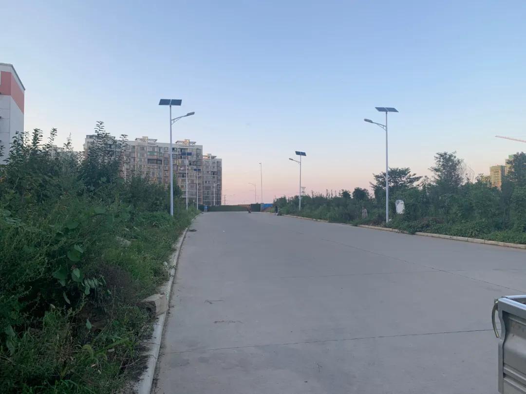 云鵬燈〡九萬(wàn)里風(fēng)安稅駕，云鵬今悔不卑飛