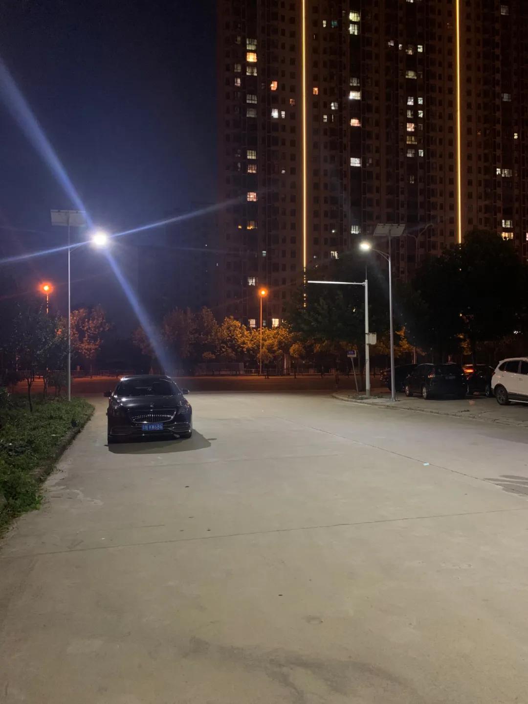 云鵬燈〡九萬(wàn)里風(fēng)安稅駕，云鵬今悔不卑飛