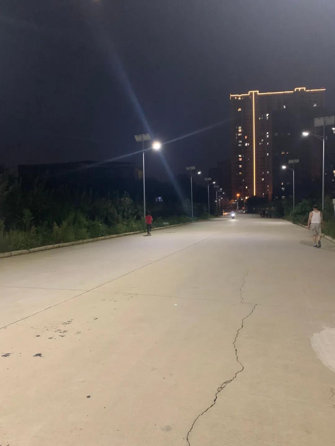 云鵬燈〡九萬(wàn)里風(fēng)安稅駕，云鵬今悔不卑飛