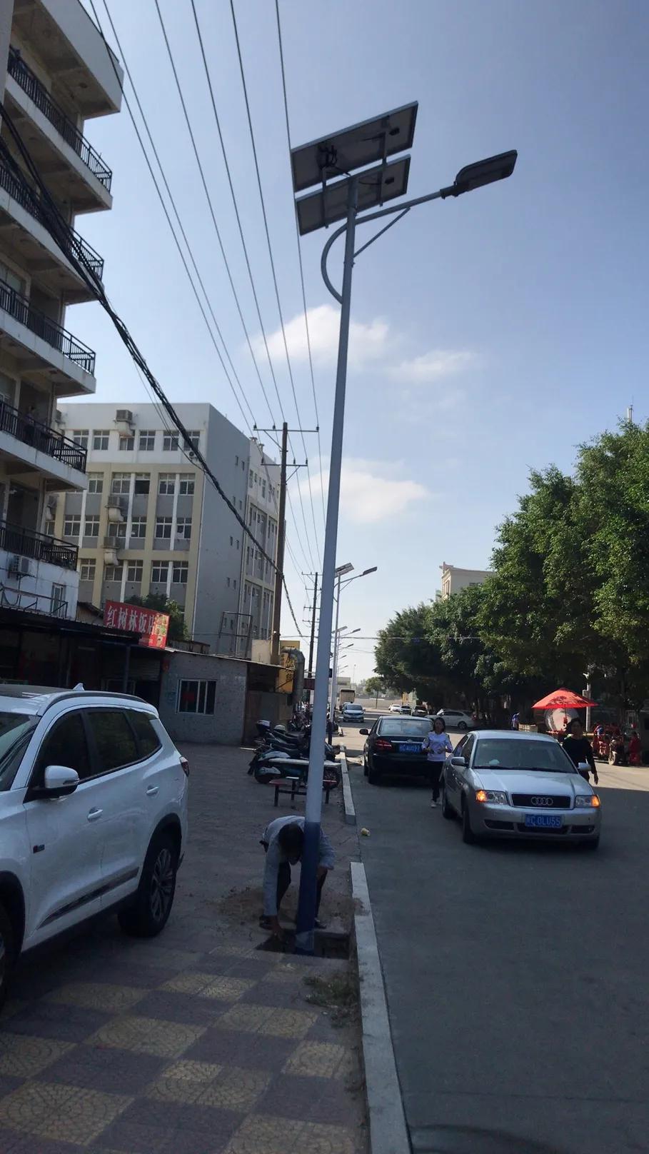 云鵬燈〡九萬(wàn)里風(fēng)安稅駕，云鵬今悔不卑飛