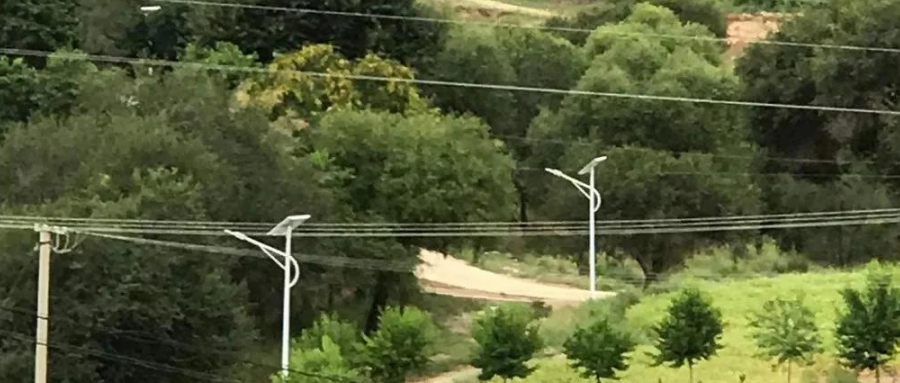 案例賞析〡云雁高飛，助力鄉(xiāng)村振興