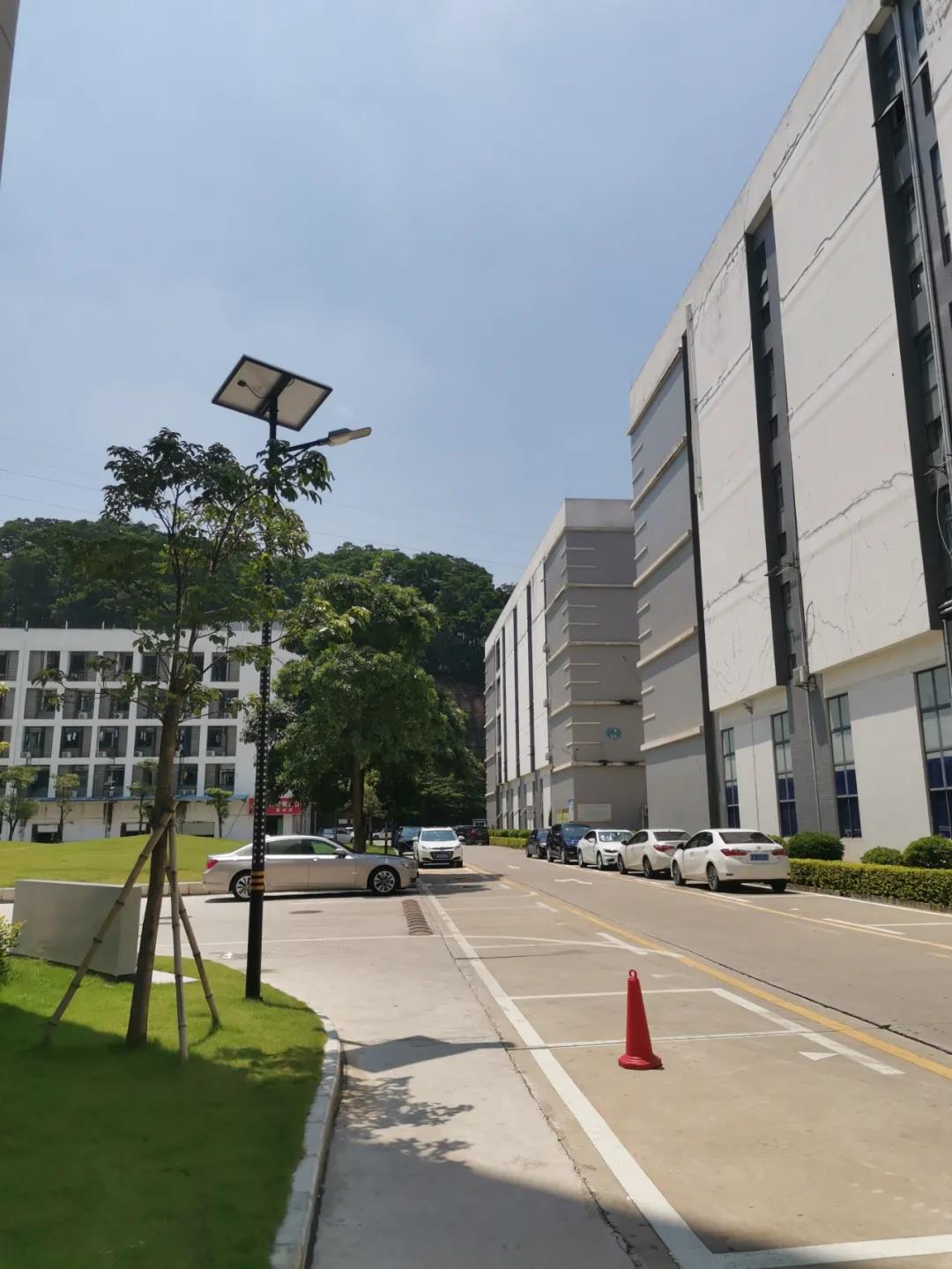 案例賞析〡云雁高飛，助力鄉(xiāng)村振興