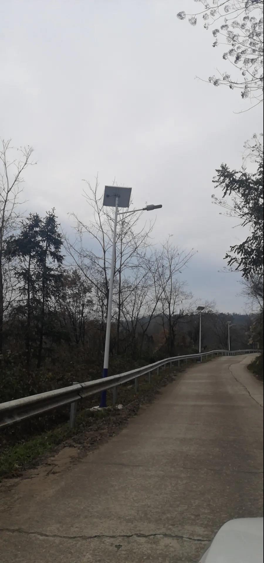 案例賞析〡云雁高飛，助力鄉(xiāng)村振興