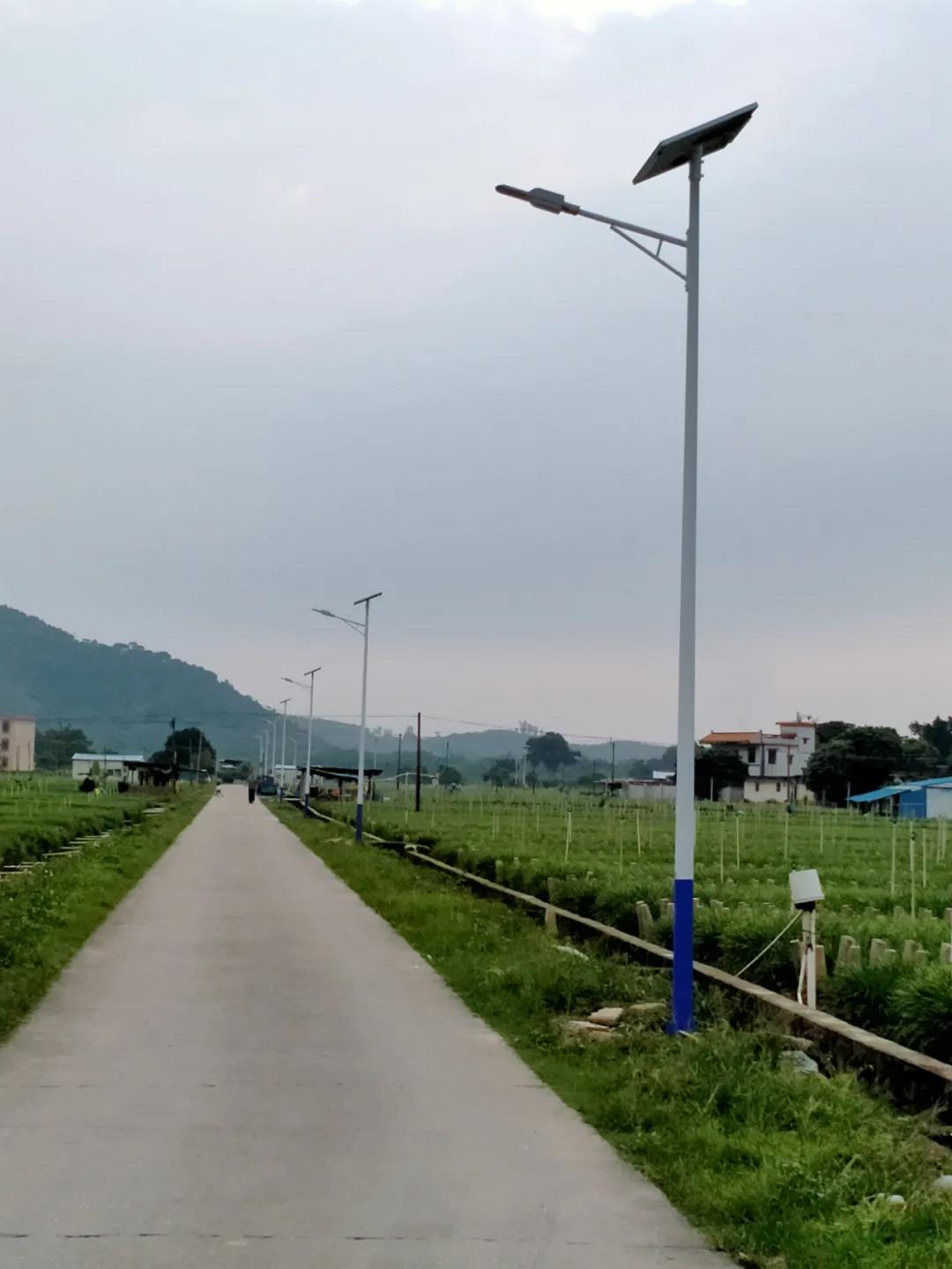 案例賞析〡云雁高飛，助力鄉(xiāng)村振興