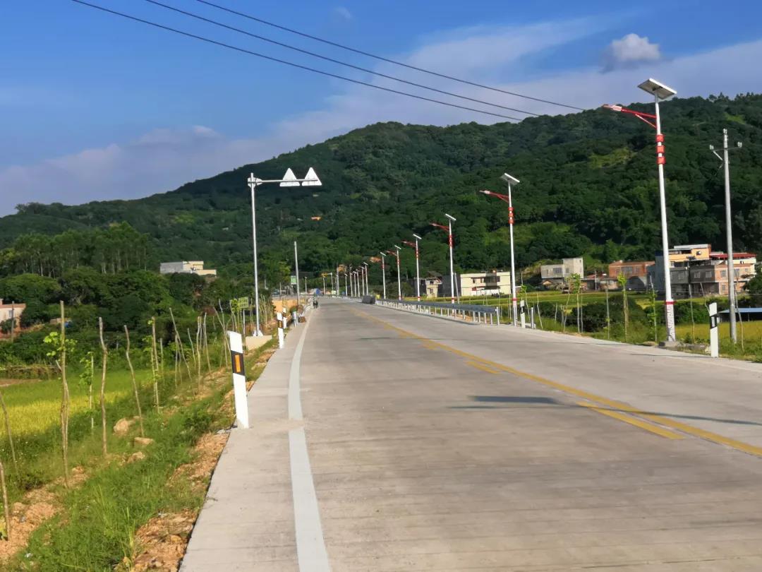 案例賞析〡云雁高飛，助力鄉(xiāng)村振興