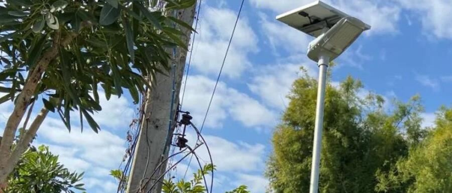 案例賞析〡2022迎新春，源碼項目掀熱潮